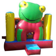 frog inflatable bouncer